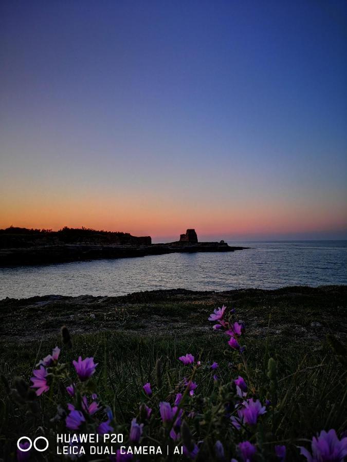 Eccelsoleccese Bed & Breakfast